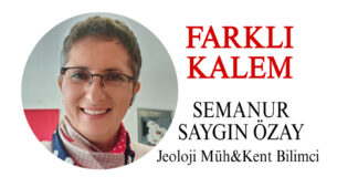 İnekler Masum, Ya Planlar ?