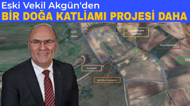 BİR DOĞA KATLİAMI PROJESİ DAHA